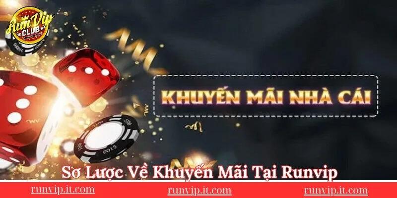so-luoc-ve-chuong-trinh-khuyen-mai-runvip